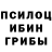 Псилоцибиновые грибы мухоморы Elfa Meow
