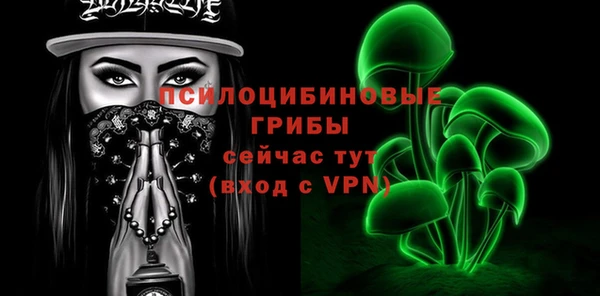 стаф Алзамай