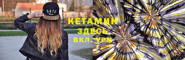 стаф Алзамай