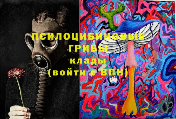 стаф Алзамай