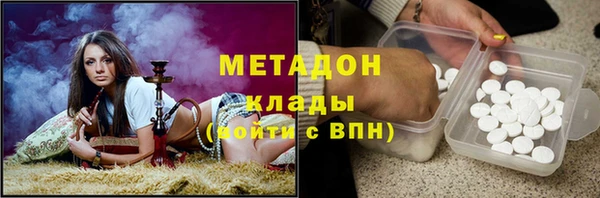 стаф Алзамай