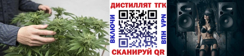 купить   Лаишево  Дистиллят ТГК Wax 