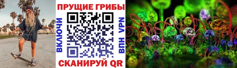 Псилоцибиновые грибы Psilocybe  Лаишево 